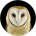 ediane jones profile picture