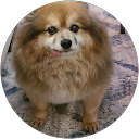 John Buzzatto profile picture