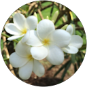 Liza Aldaz profile picture